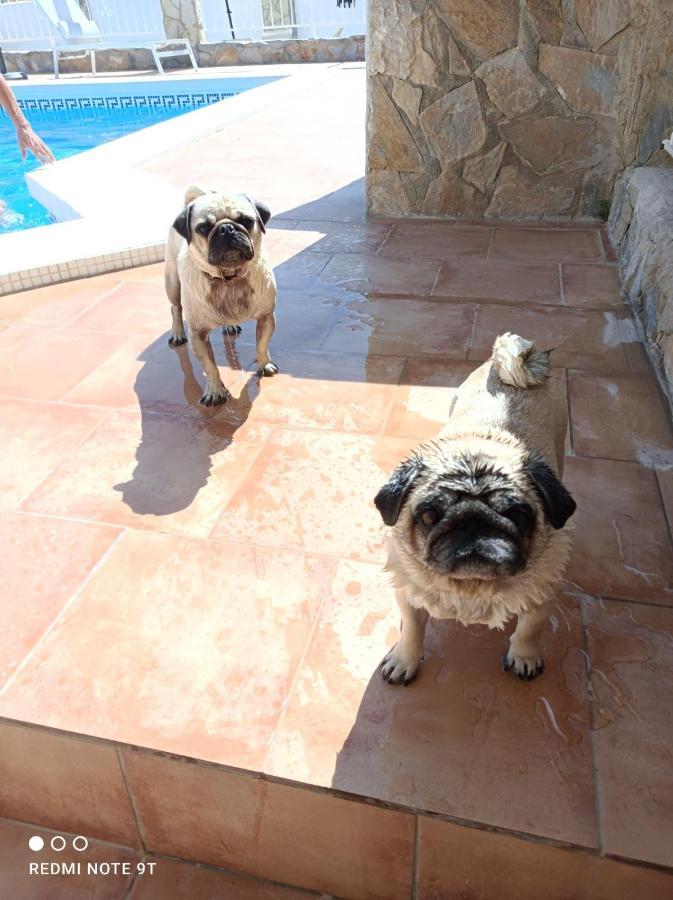 Apartment Costa Blanca Mutxamel Esterno foto